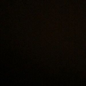 Meet your Posher, Oscar